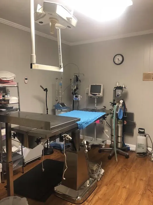 Noah's Ark Animal Hospital 5