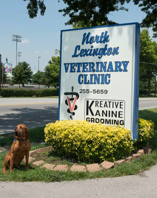 North Lexington Veterinary Clinic 2