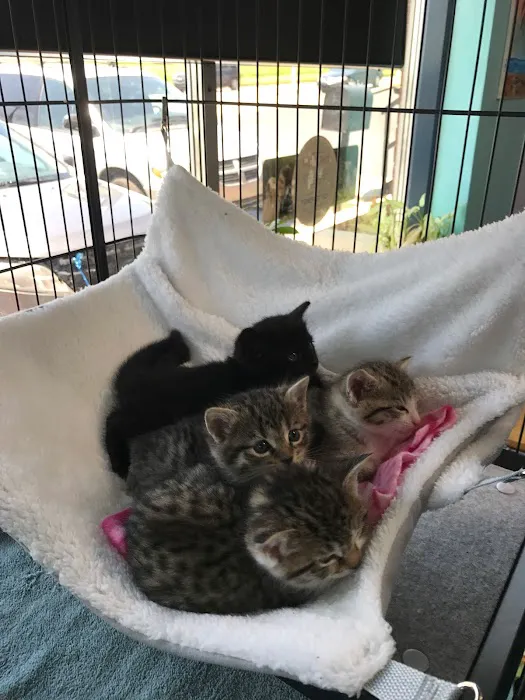 Eastland Animal Clinic 9