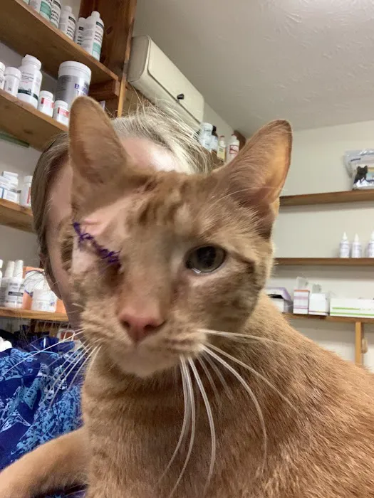 Five Points Animal Hospital 9