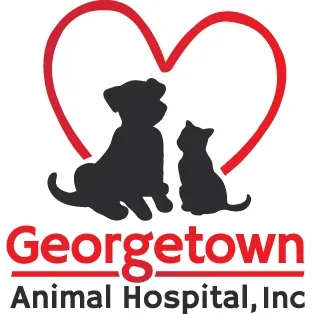 Georgetown Animal Hospital: Chalker Debra C DVM 1