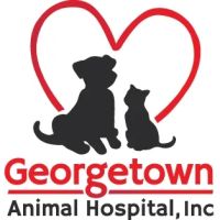 Georgetown Animal Hospital: Chalker Debra C DVM ico