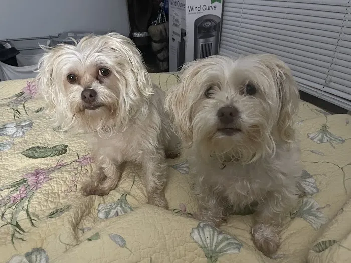 Georgetown Animal Hospital 5