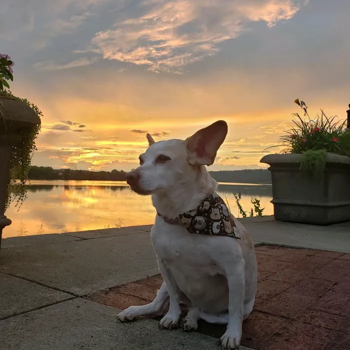 Georgetown Animal Hospital 4