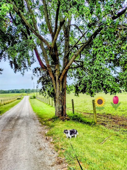 Brown County Veterinary Services 6