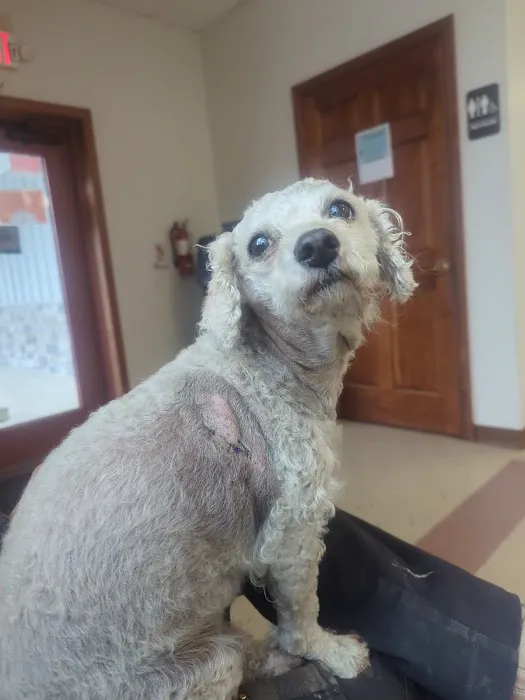 Seven Hills Pet Clinic - Blanchester 2