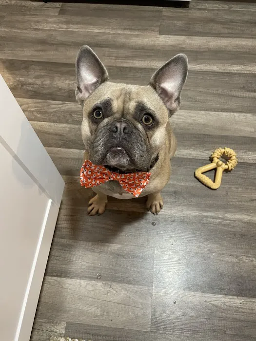 Seven Hills Pet Clinic - Blanchester 3