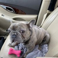 Fayette Veterinary Hospital ico