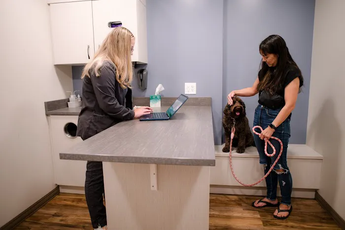All About Animals Pet Clinic 8