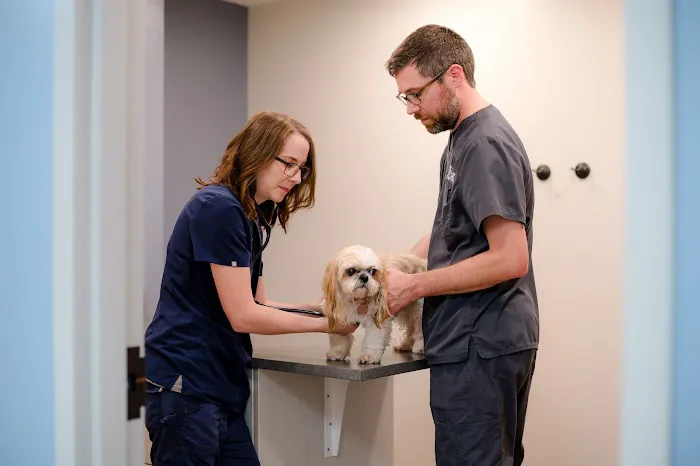 All About Animals Pet Clinic 2