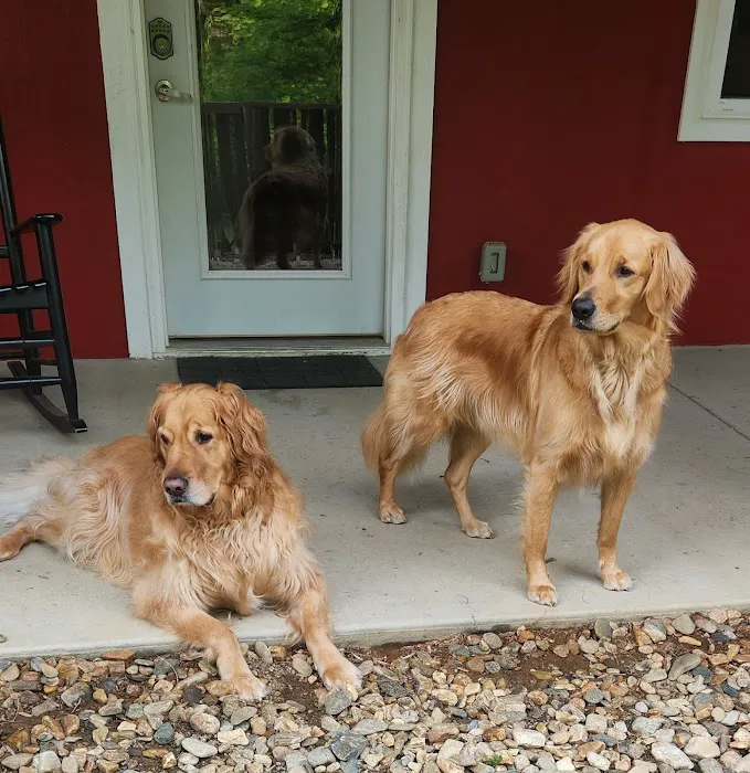 Creature Comforts Animal Hospital 6