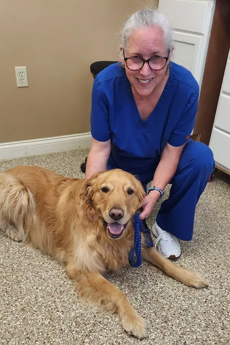 Creature Comforts Animal Hospital 2