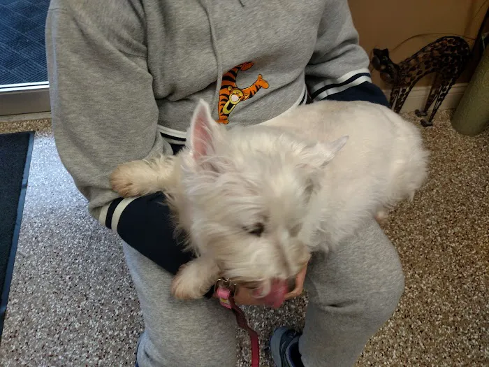 Creature Comforts Animal Hospital 8