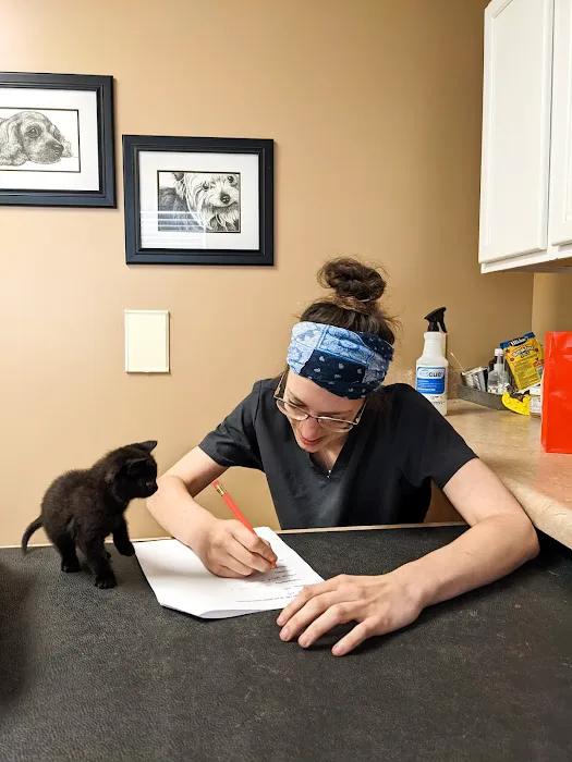 Creature Comforts Animal Hospital 1