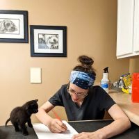 Creature Comforts Animal Hospital ico