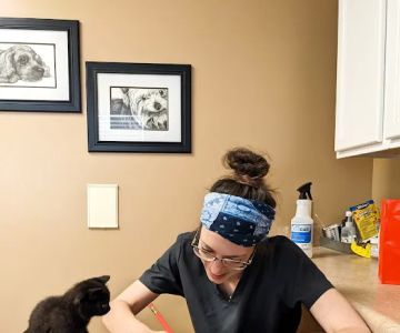 Creature Comforts Animal Hospital