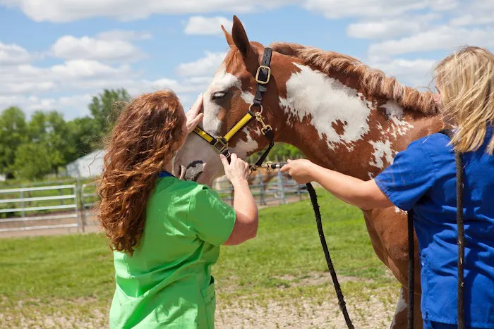 Gibson Veterinary Clinic 8