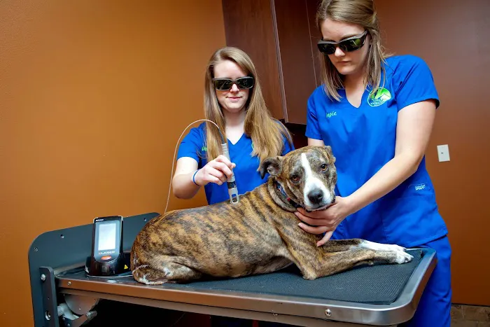 Gibson Veterinary Clinic 1
