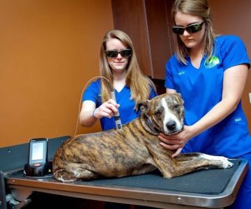 Gibson Veterinary Clinic
