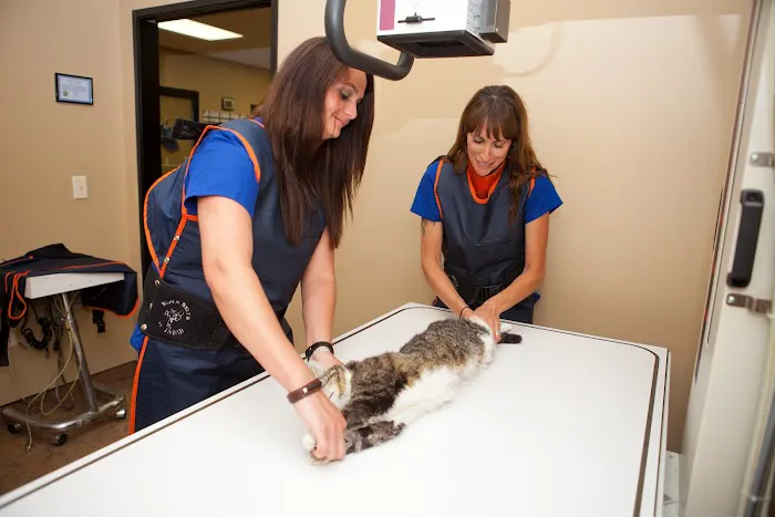 Gibson Veterinary Clinic 2