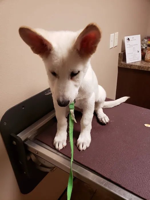 Gibson Veterinary Clinic 10