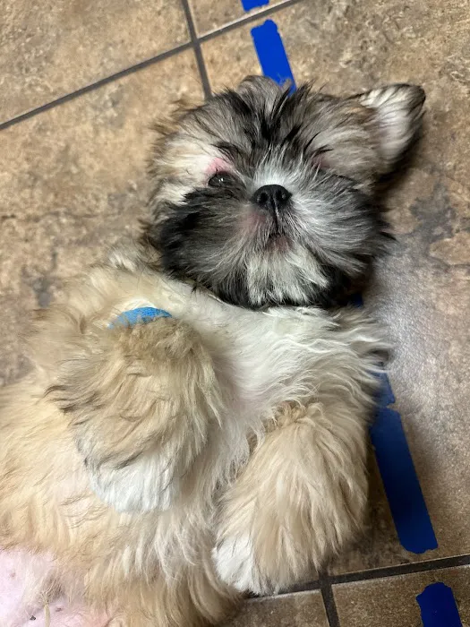 Hawthorne Park Animal Care Center 5