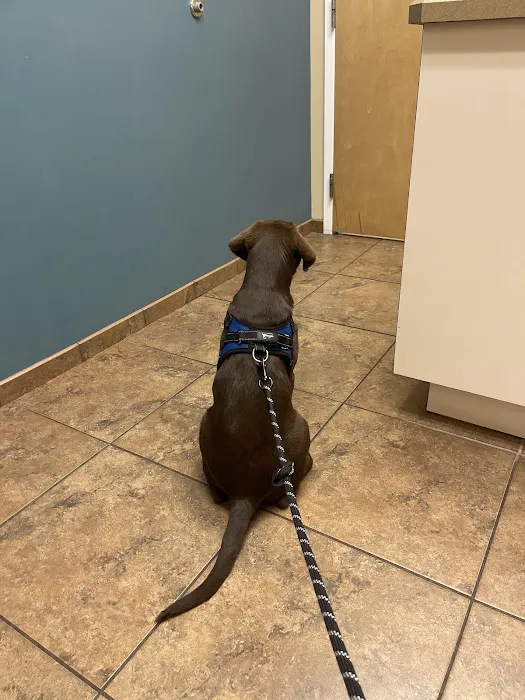 Hawthorne Park Animal Care Center 9