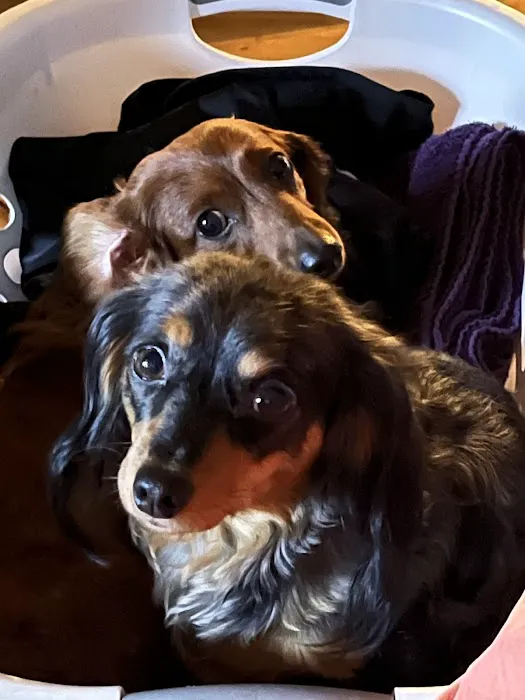 Mazomanie Animal Hospital 1