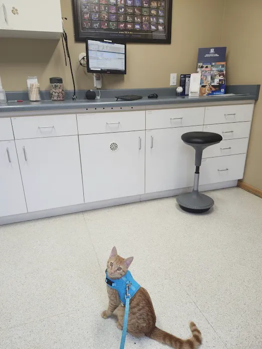 Mazomanie Animal Hospital 4