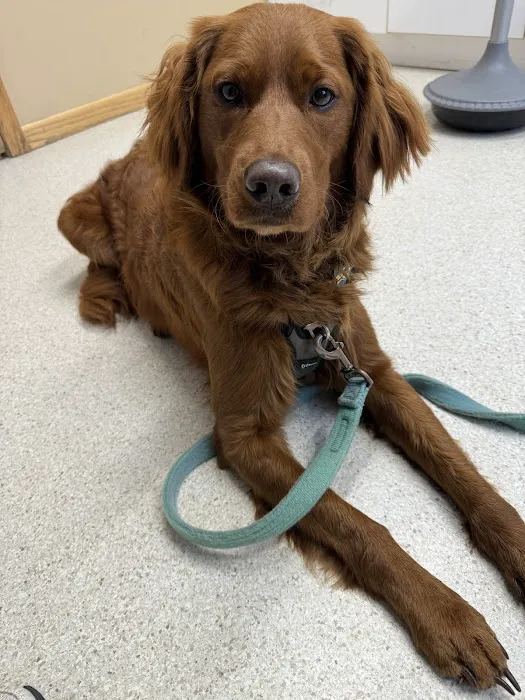 Mazomanie Animal Hospital 3