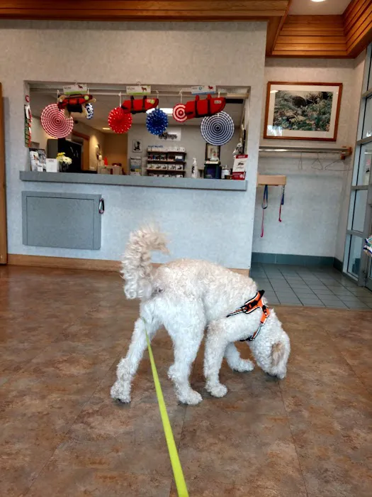 Mazomanie Animal Hospital 9