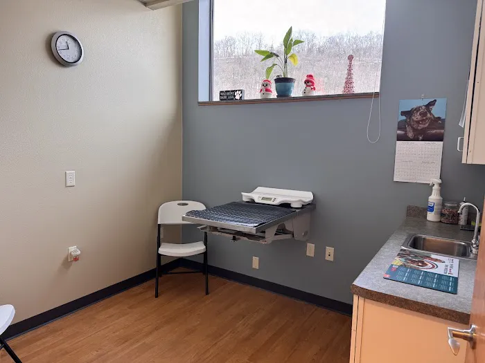 Creekside Veterinary Clinic 6