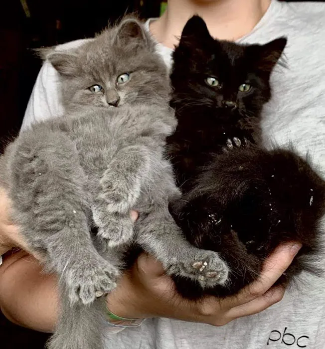 Black Earth Veterinary Clinic 5