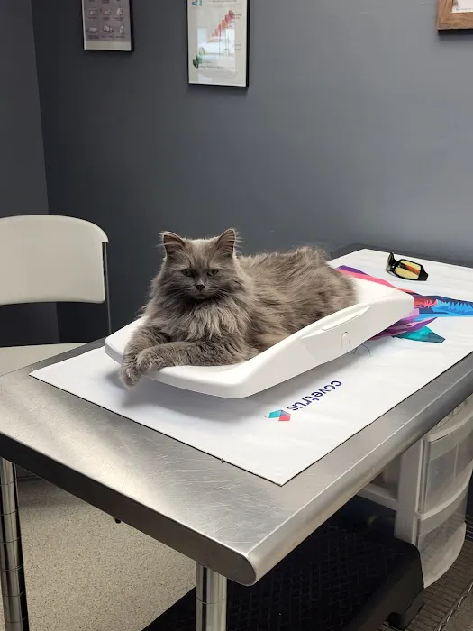 Black Earth Veterinary Clinic 1