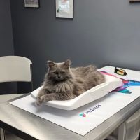 Black Earth Veterinary Clinic ico