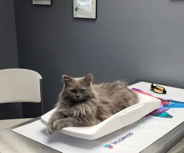 Black Earth Veterinary Clinic