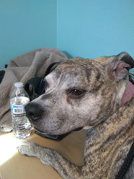 Hill-Dale Veterinary Care 6