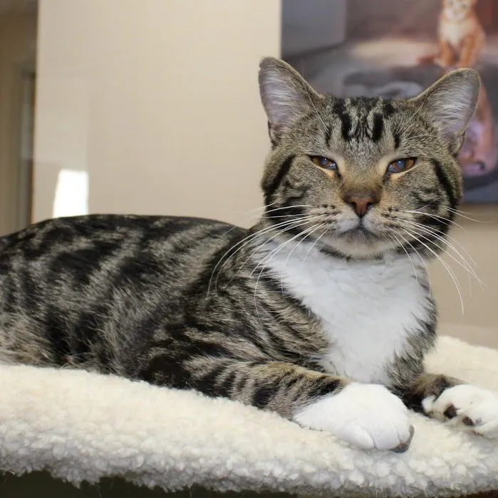 Hill-Dale Veterinary Care 5
