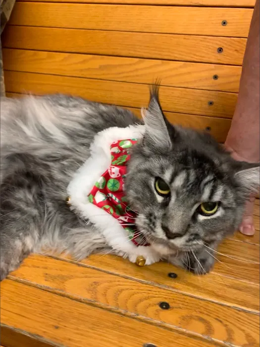 Hill-Dale Veterinary Care 8