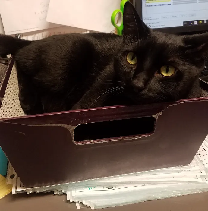 Hill-Dale Veterinary Care 9