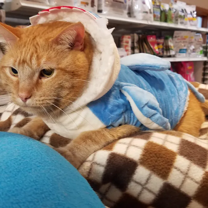 Hill-Dale Veterinary Care 10