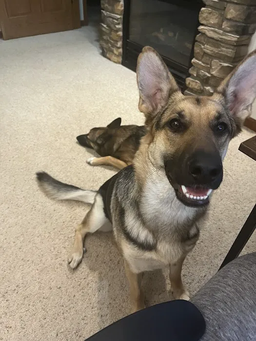 Dells Animal Hospital 3