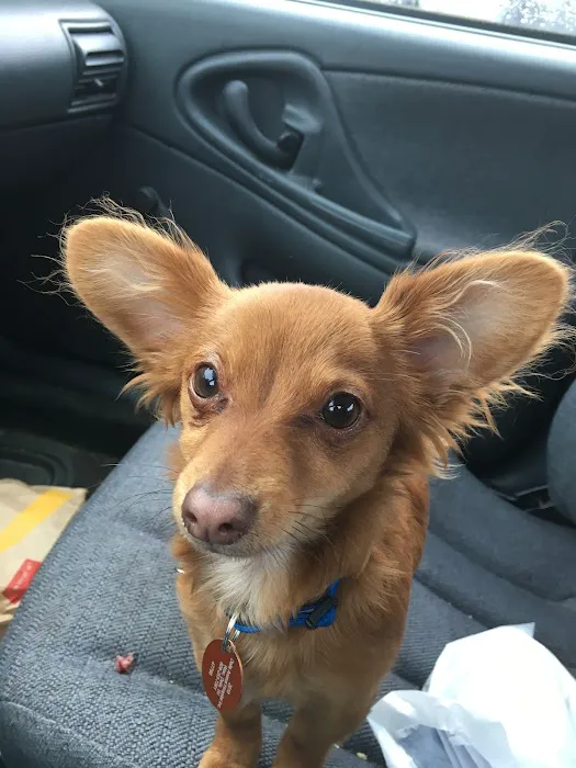 Dells Animal Hospital 5