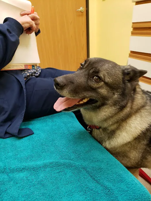 Reedsburg Small Animal Clinic 2