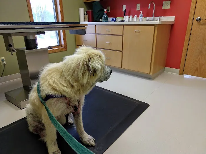 River Valley Veterinary Clinic 4