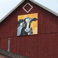 River Valley Veterinary Clinic ico