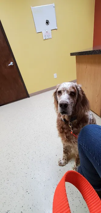 Sunrise Veterinary Services 7