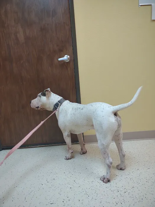 Sunrise Veterinary Services 1