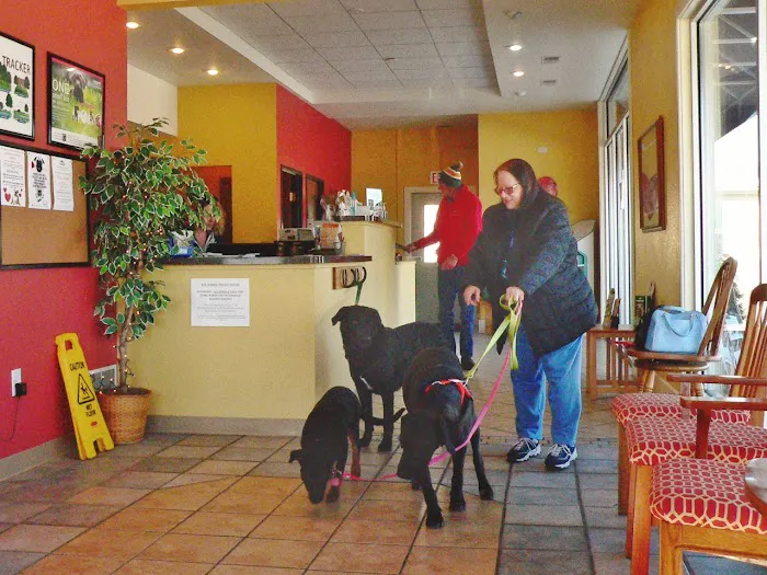 Sunrise Veterinary Services 8