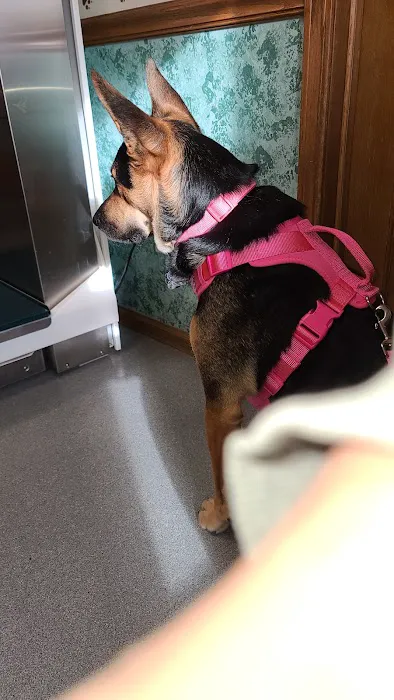 Randolph Veterinary Clinic 12